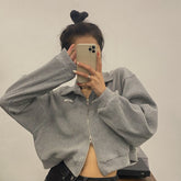 Casual Shirt Collar Cropped Zipper Sweater